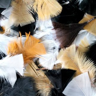 BI2594 Natural Feathers 50g Assorted